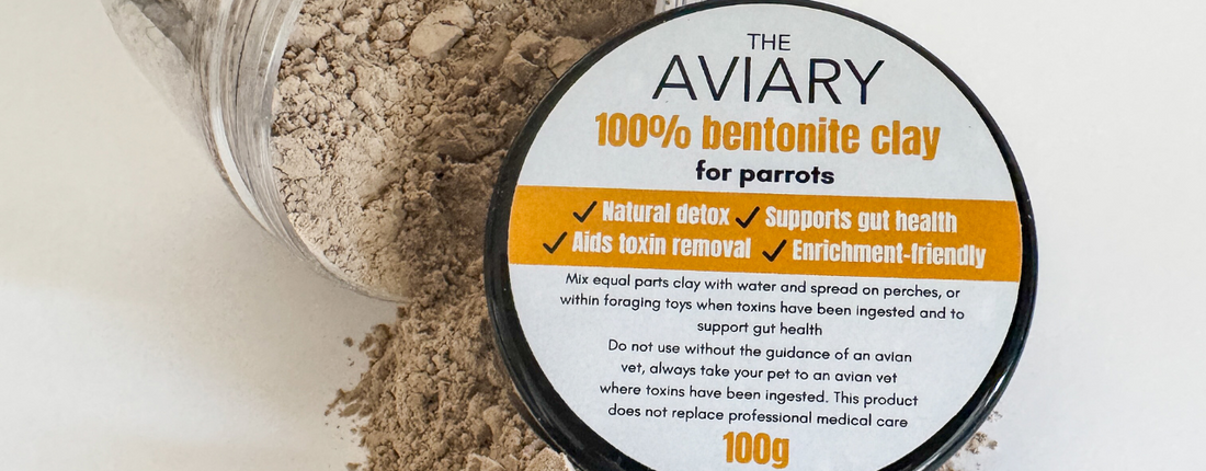 Bentonite Clay for Parrots: Why Every Bird Owner Should Keep Some at Home