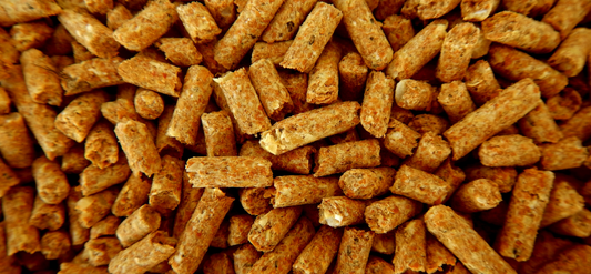 Are Pellets Really the “Perfect” Food for Parrots?
