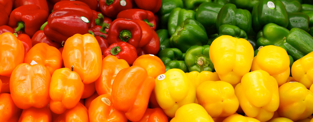 Top 10 Human Foods That Are Safe (and Healthy) for Parrots