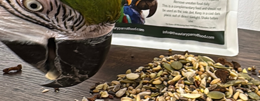 What is the Healthiest Seed Mix for Parrots?