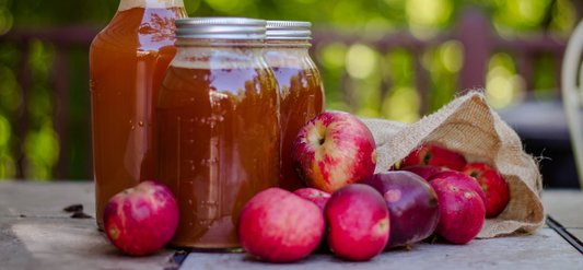 Apple Cider Vinegar for Parrots: Why It’s a Game Changer (and How to Use It Safely)