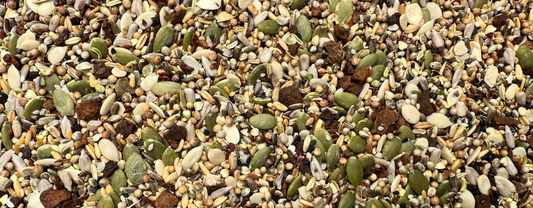 Choosing the Right Parrot Seed Mix