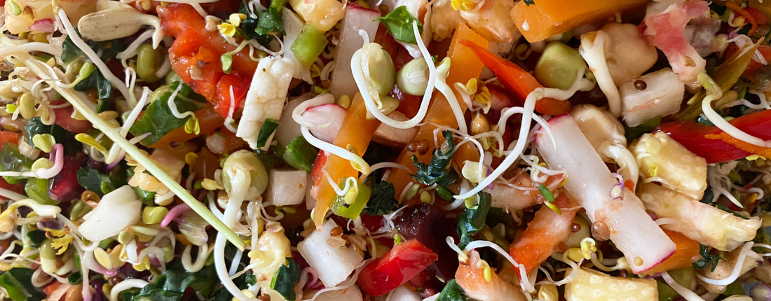 Why Parrot Sprouting Seed Mixes Are Essential for a Healthy Diet