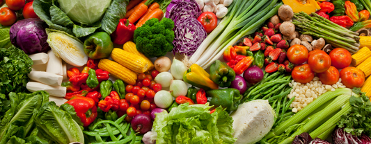 What Should Parrots Eat Daily? A Complete Guide to Balanced Parrot Nutrition