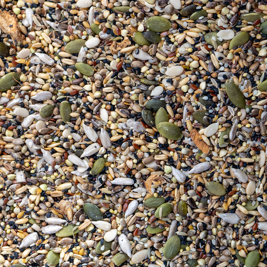 Happy Gut Seed Mix For Parrots - The Aviary Parrot Food