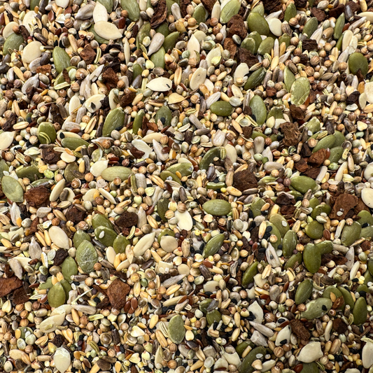 Happy Gut Seed Mix For Parrots - The Aviary Parrot Food