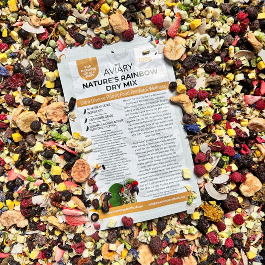 Nature's Rainbow Dry Mix For Parrots - Ultra Healthy Parrot Food - The Aviary Parrot Food