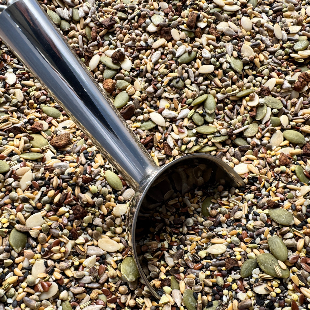 Happy Gut Seed Mix For Parrots
