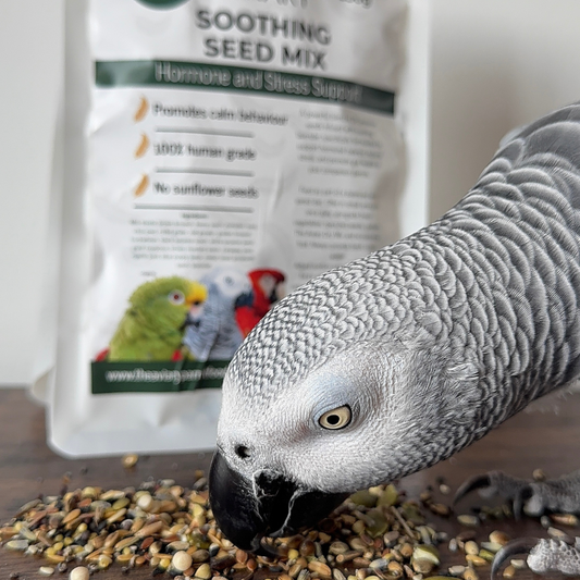 Soothing Seed Mix For Parrots