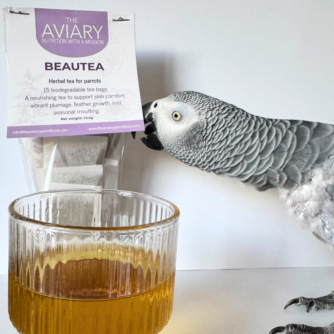 Beautea - Herbal Tea For Parrots