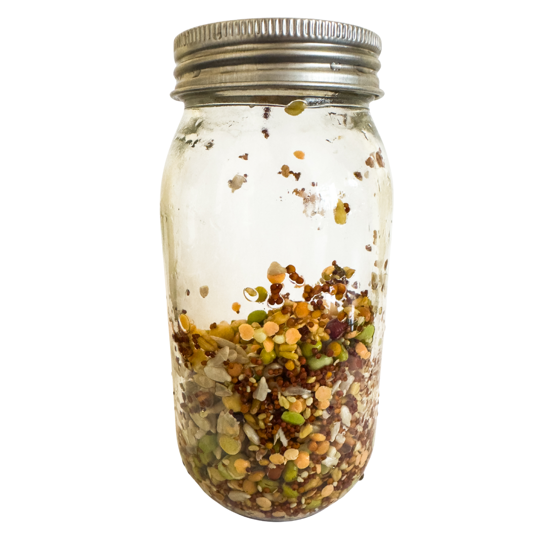 Foraging Feast Sprouting Mix For Parrots