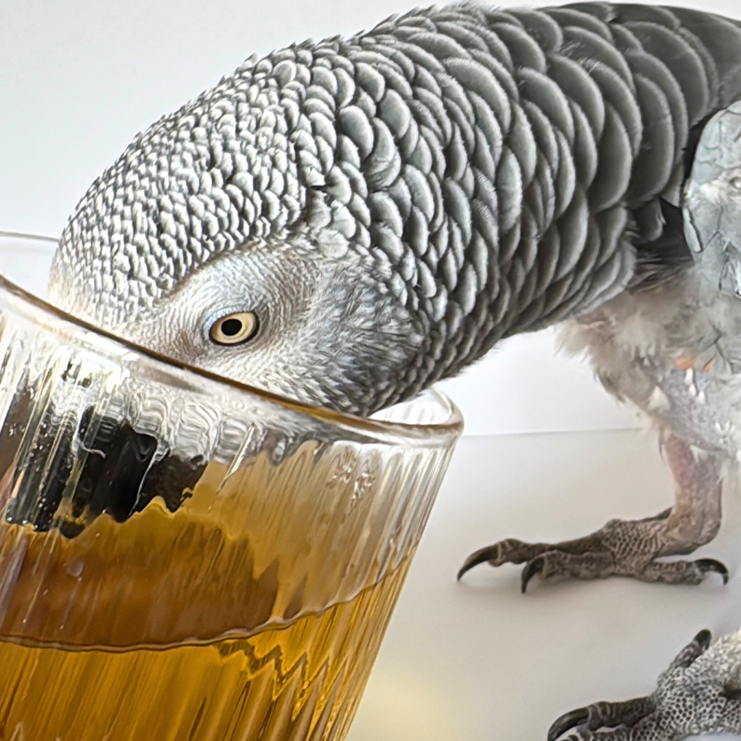 Beautea - Herbal Tea For Parrots