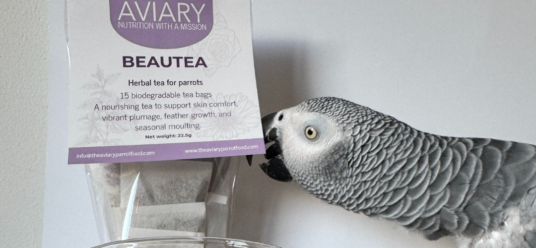 Can Parrots Drink Herbal Tea? A Full Guide To Avian Tea – The Aviary ...