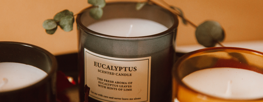 Parrot Safe Candles? What Every Bird Owner Needs to Know