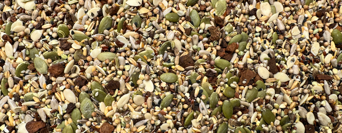 Choosing the Right Parrot Seed Mix