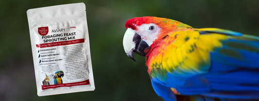 easiest sprouting seed method for parrots