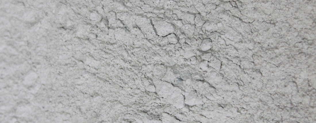 How to Use Bentonite Clay for Parrots: Easy Enrichment Ideas and Benefits