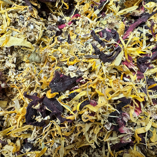 Immunitea - Herbal Tea For Parrots - The Aviary Parrot Food