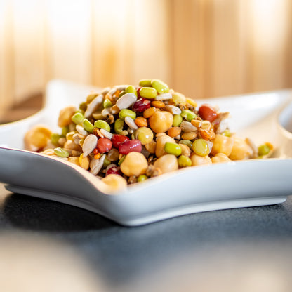 Foraging Feast Sprouting Seeds For Parrots - The Aviary Parrot Food