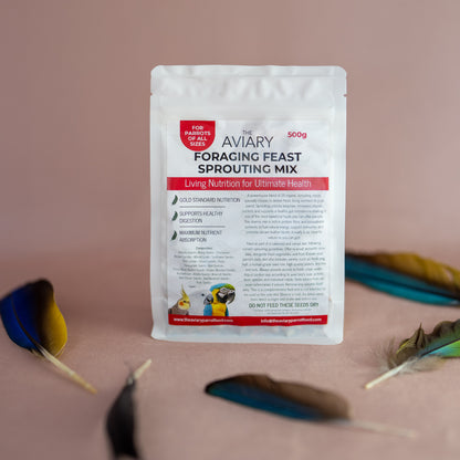 Sprouting seed mix for parrots