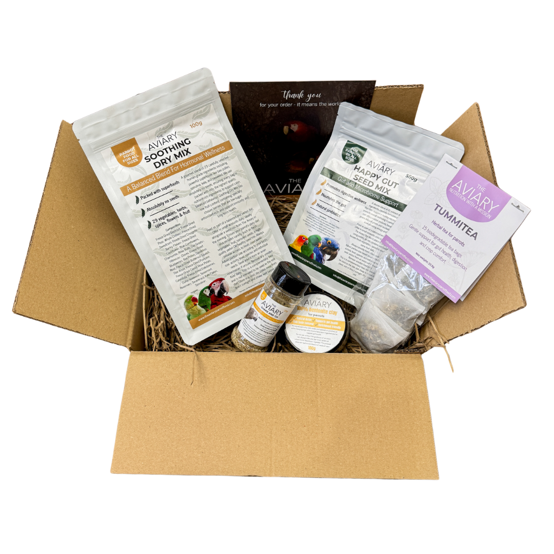 Healthy Parrot Food Starter Pack