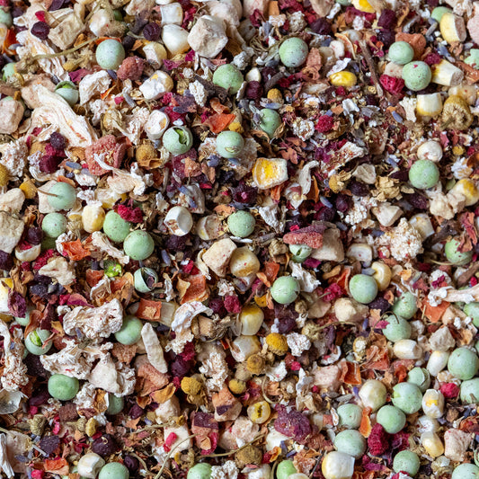 Mini Meadow Dry Mix - Healthy Food for Budgies, Cockatiels, Conures & Small Parrots - The Aviary Parrot Food