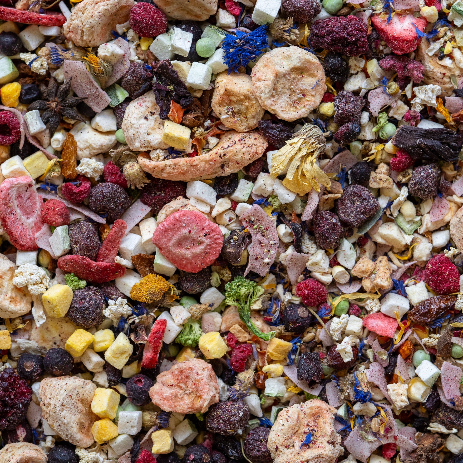 Freeze dried fruits and vegetables mixed together in a healthy meal for parrots