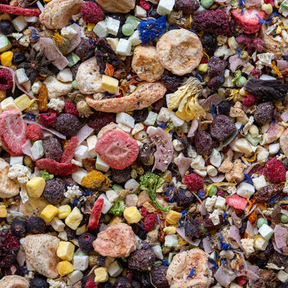 Freeze dried fruits and vegetables mixed together in a healthy meal for parrots