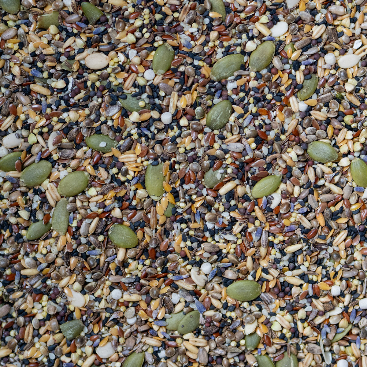 Soothing Seed Mix For Parrots - The Aviary Parrot Food