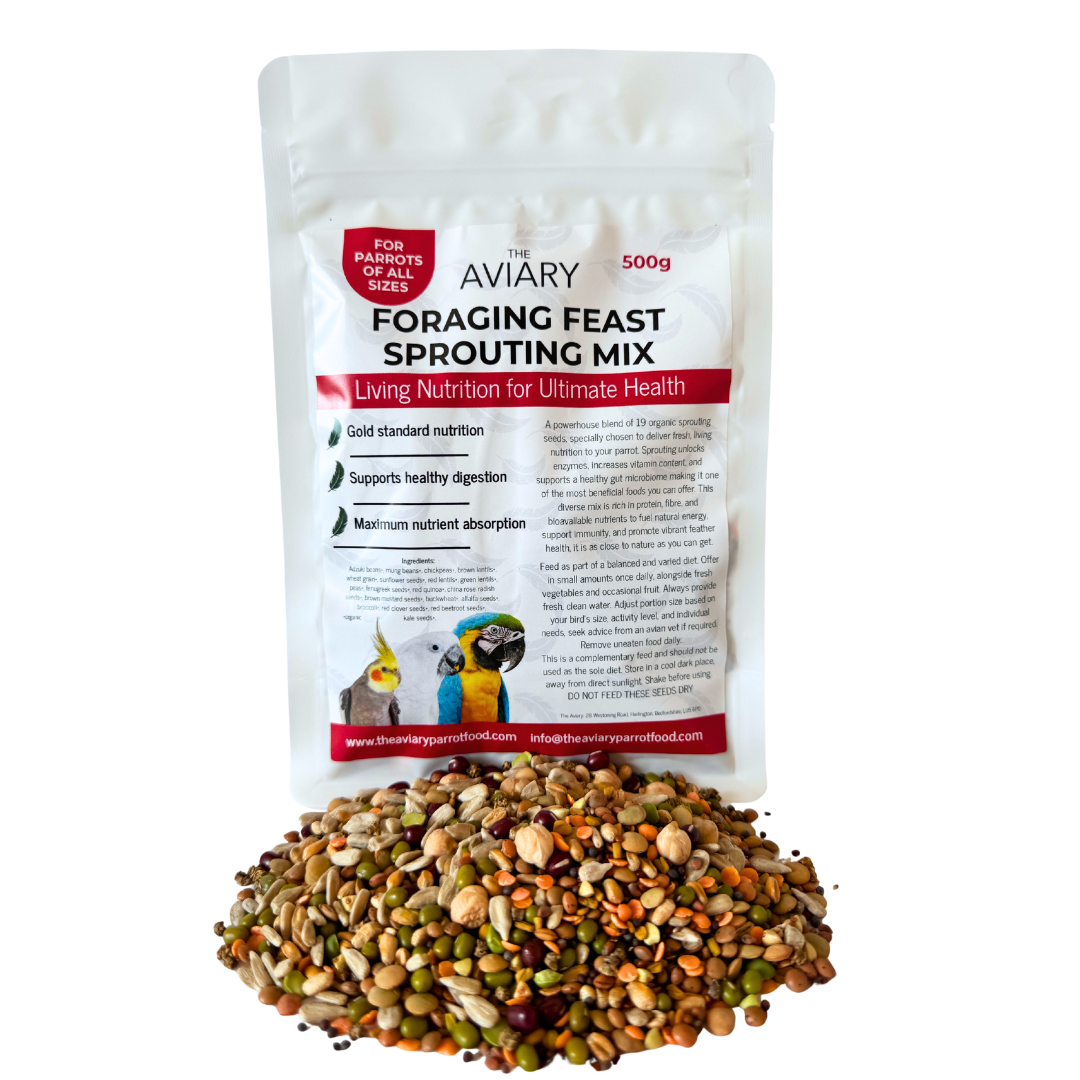 Foraging Feast Sprouting Mix For Parrots